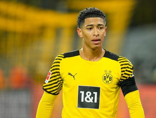 丛能够在西 丛能够在西