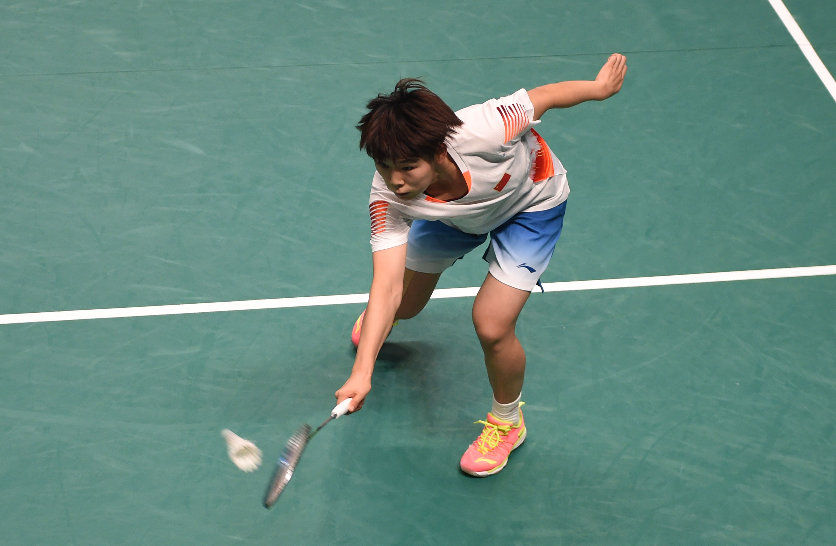 在体坛追求 在体坛追求